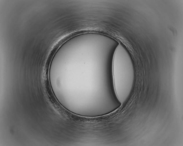 X0000113550628200909181000