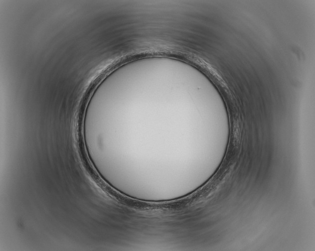 X0000113550629200909181000