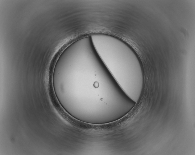 X0000113550630200909181000