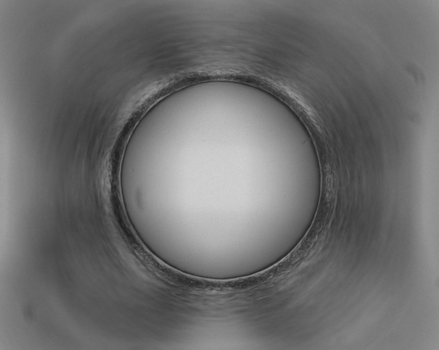 X0000113550631200909181000
