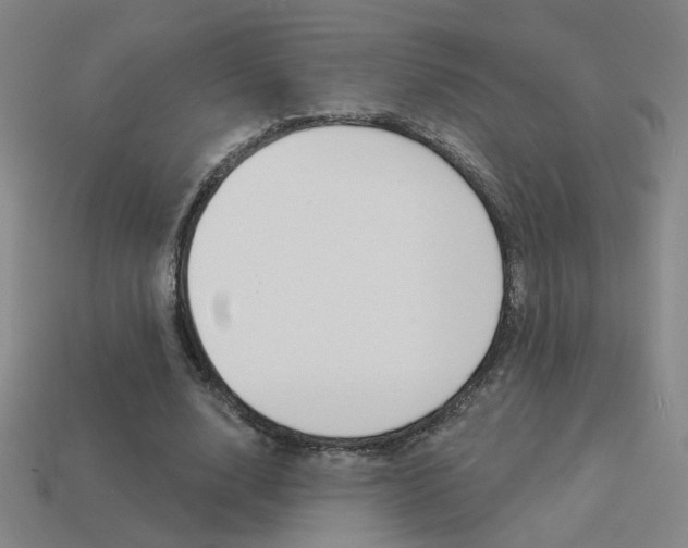 X0000113550632200909181000