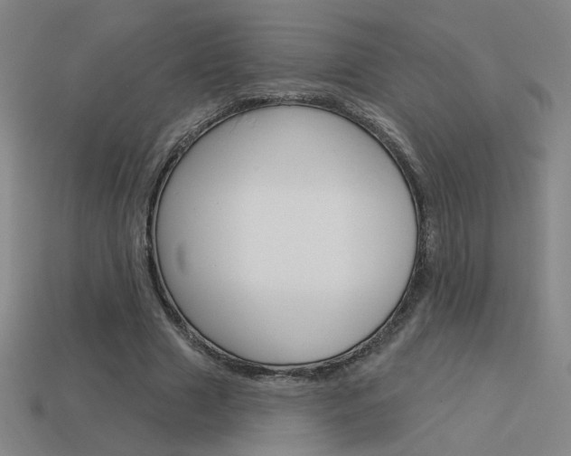 X0000113550633200909181000