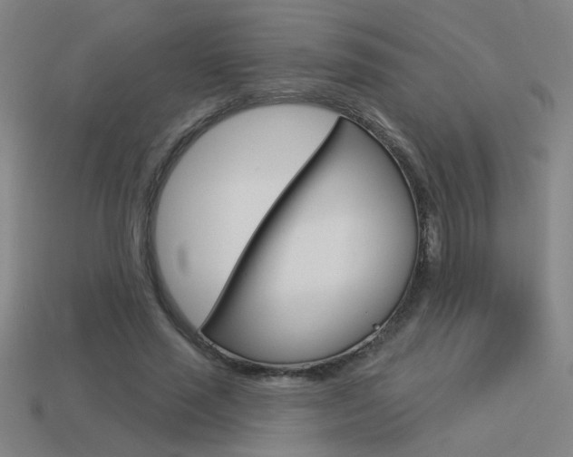 X0000113550637200909181000