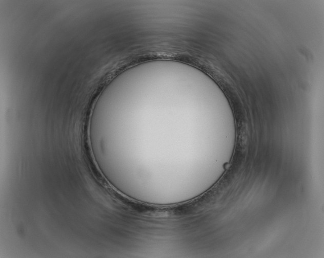 X0000113550639200909181000