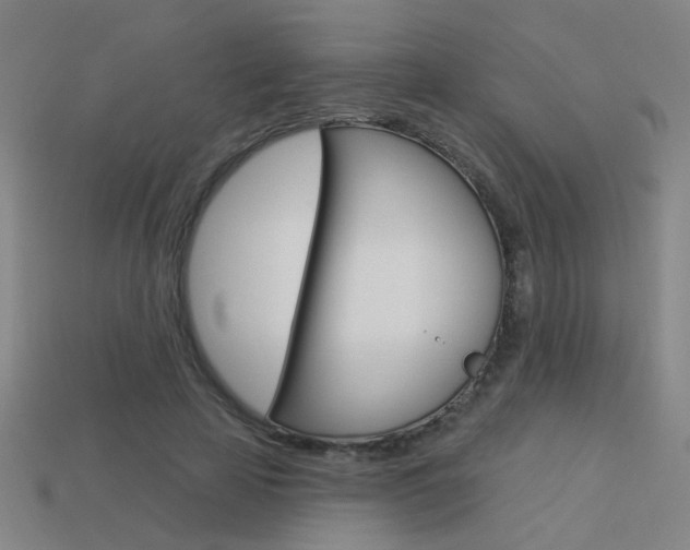 X0000113550641200909181000