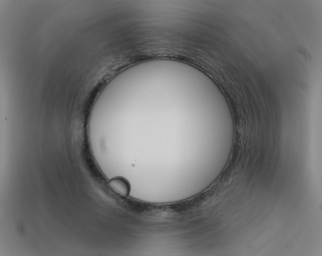 X0000113550642200909181000
