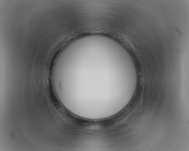 X0000113550643200909181000