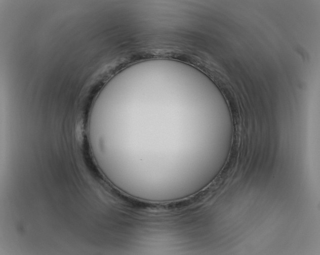 X0000113550644200909181000