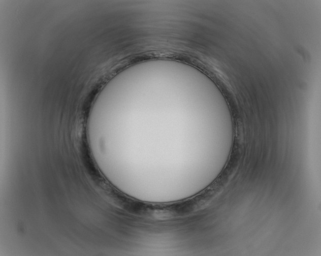 X0000113550645200909181000