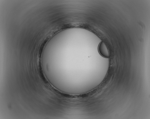 X0000113550646200909181000