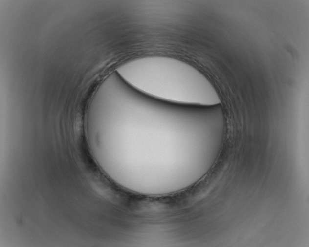 X0000113550648200909181000
