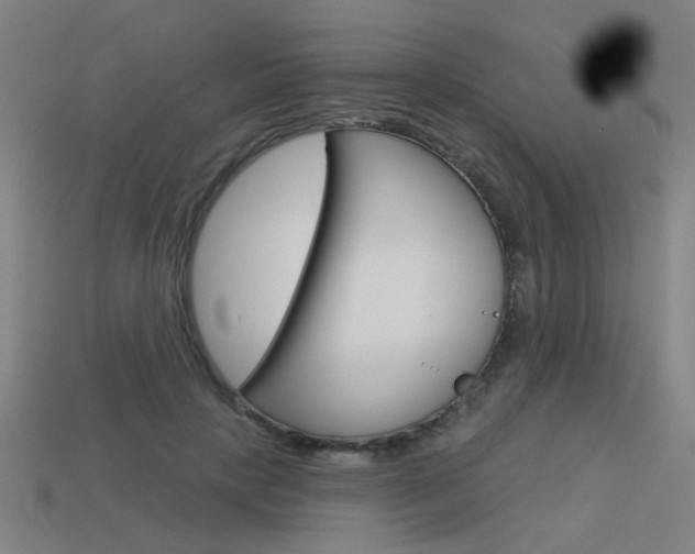 X0000113550649200909181000