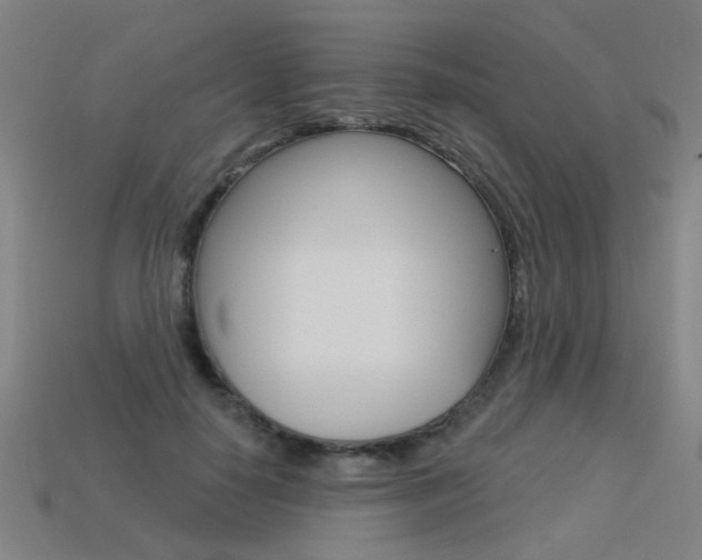 X0000113550650200909181000