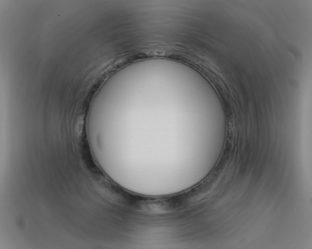 X0000113550652200909181000