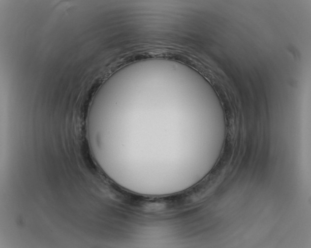 X0000113550653200909181000
