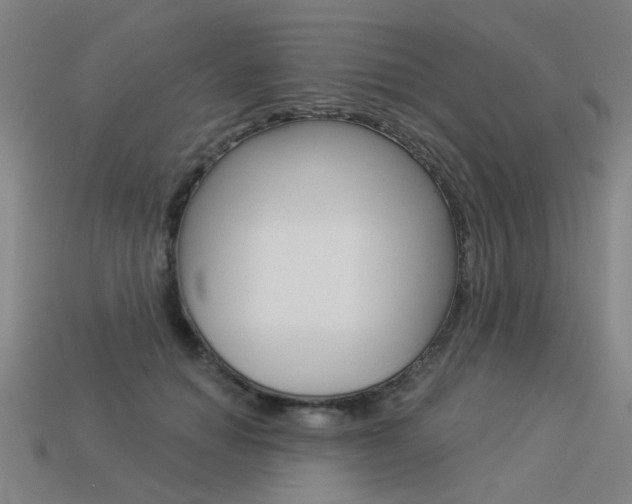 X0000113550654200909181000