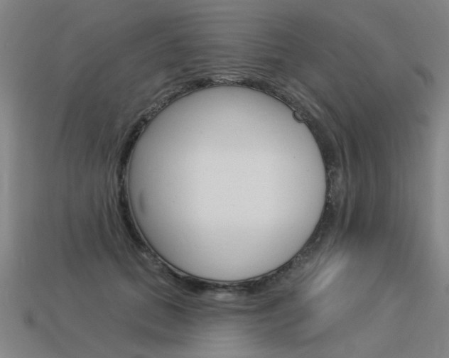 X0000113550655200909181000