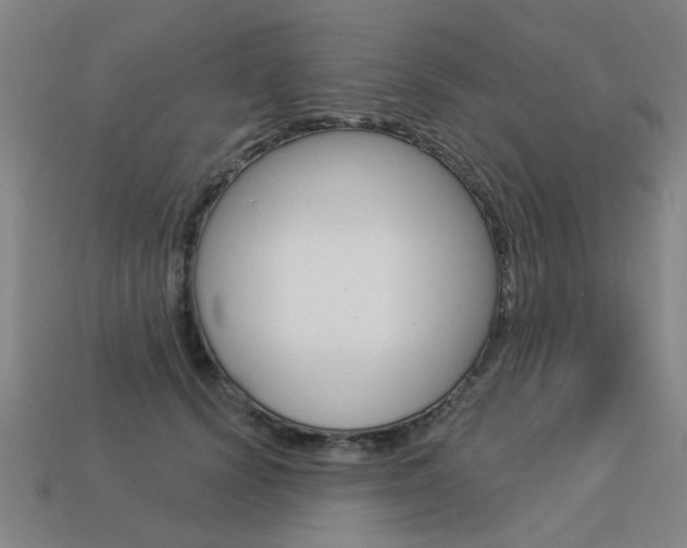 X0000113550656200909181000