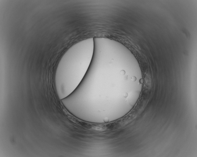 X0000113550659200909181000