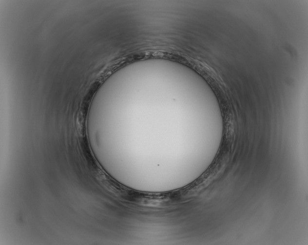 X0000113550661200909181000