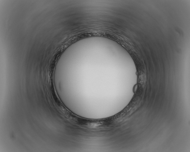 X0000113550662200909181000