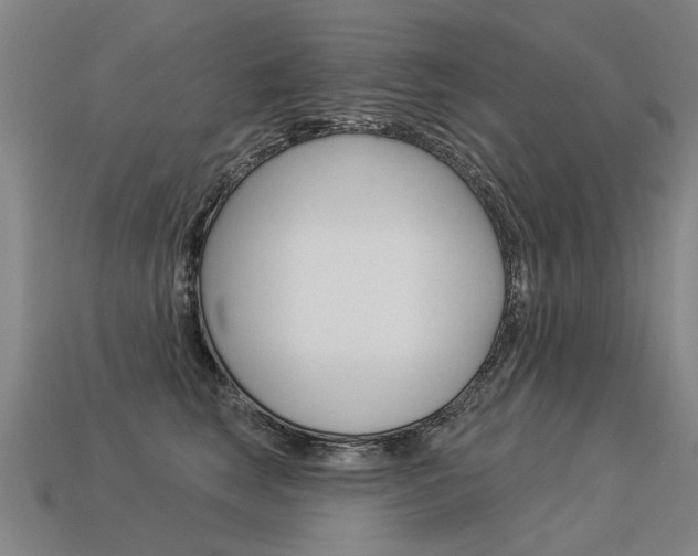 X0000113550663200909181000