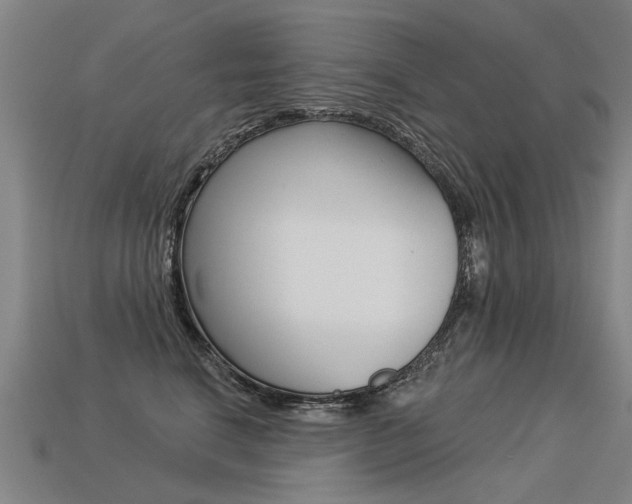 X0000113550664200909181000