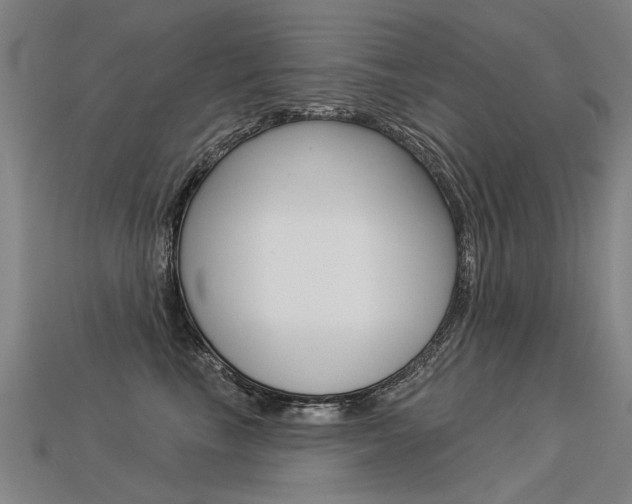 X0000113550665200909181000