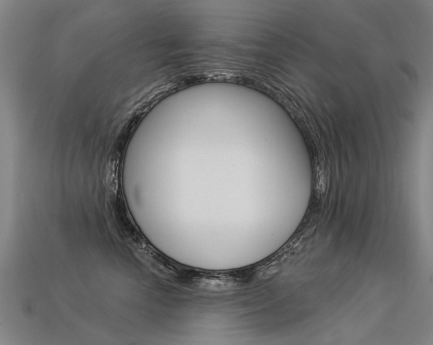 X0000113550666200909181000