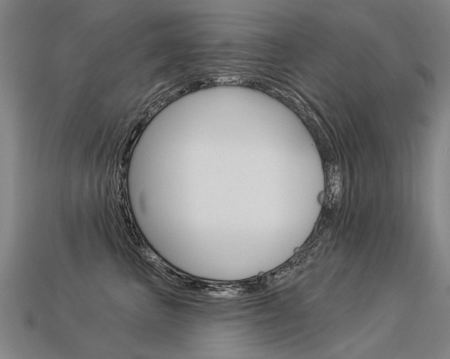 X0000113550667200909181000