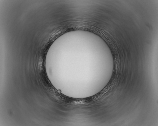 X0000113550668200909181000