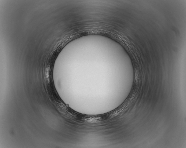 X0000113550670200909181000