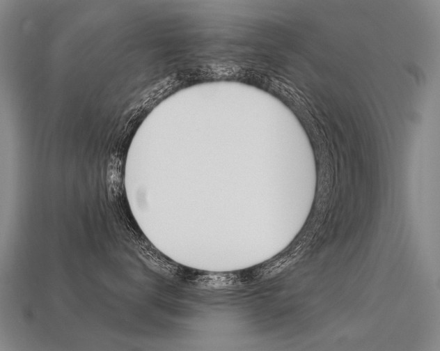 X0000113550672200909181000