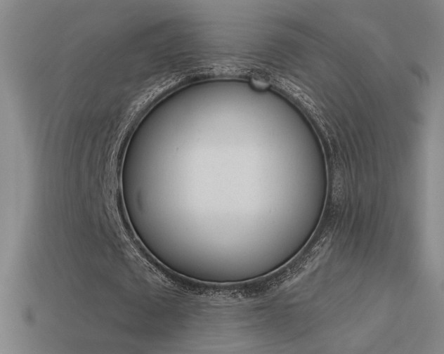 X0000113550673200909181000