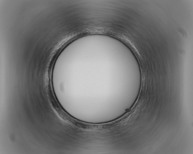X0000113550674200909181000