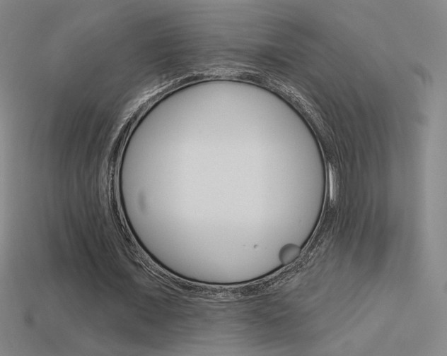 X0000113550675200909181000