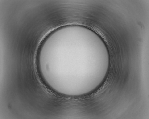 X0000113550676200909181000