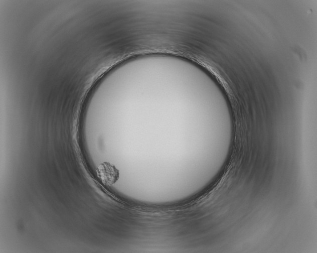 X0000113550677200909181000