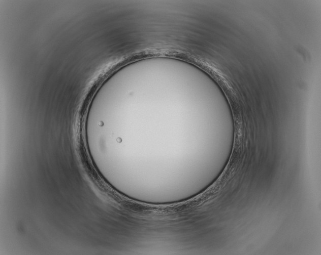 X0000113550678200909181000