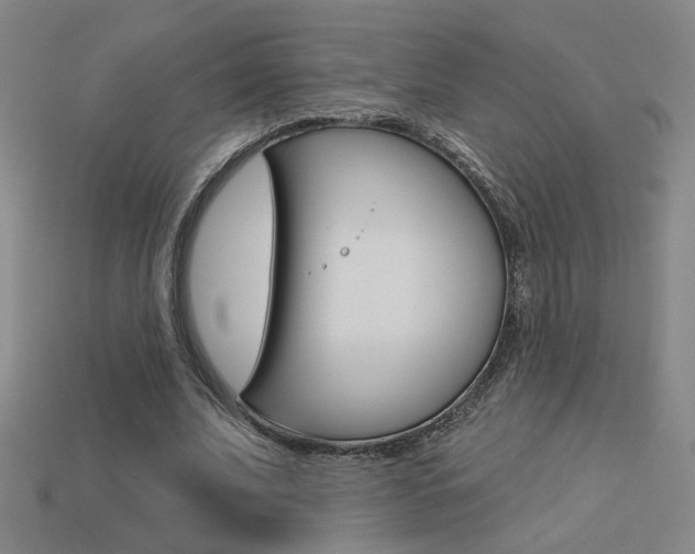 X0000113550679200909181000