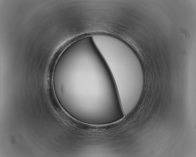 X0000113550680200909181000