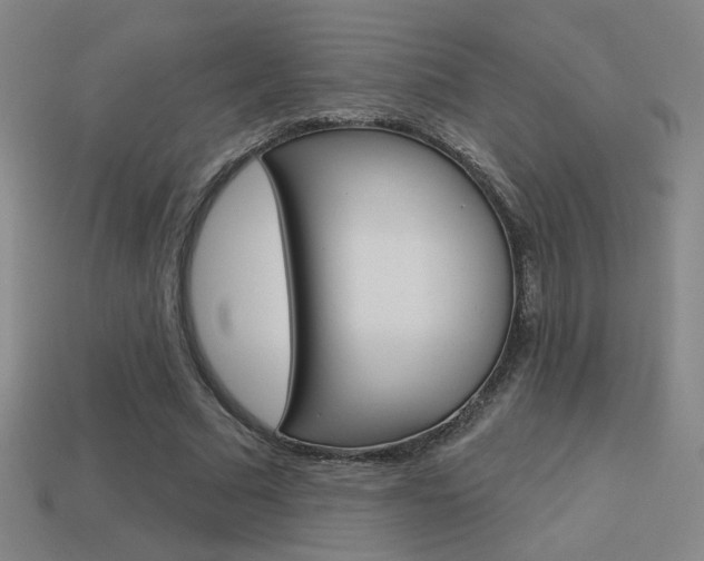 X0000113550681200909181000