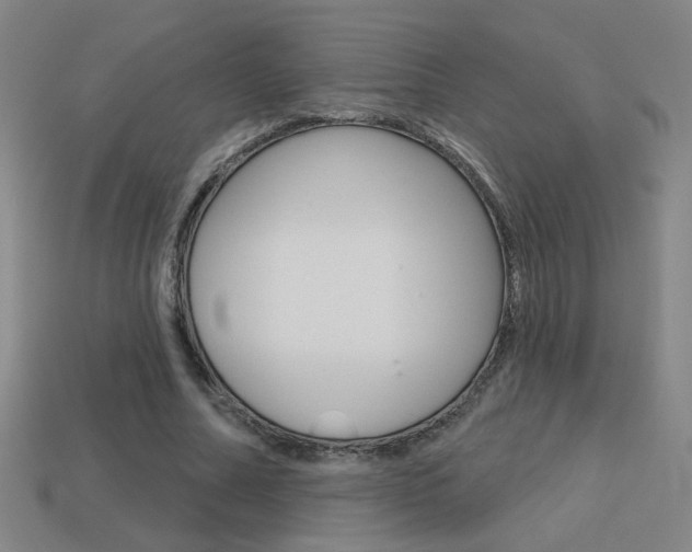 X0000113550682200909181000