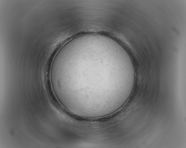 X0000113550683200909181000