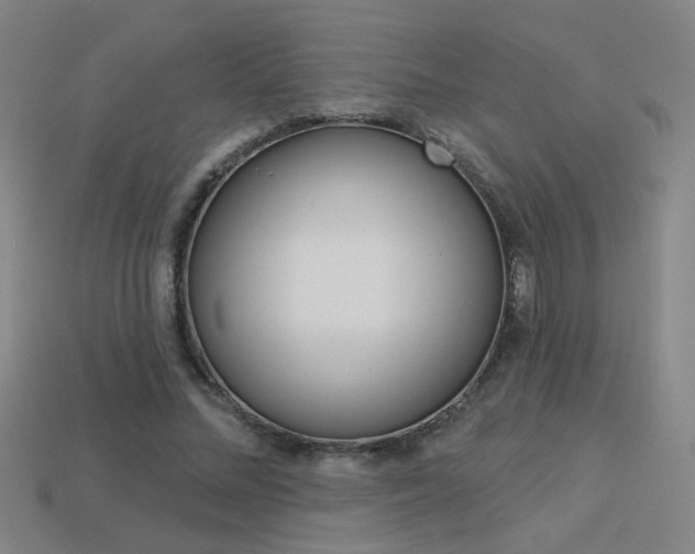 X0000113550684200909181000