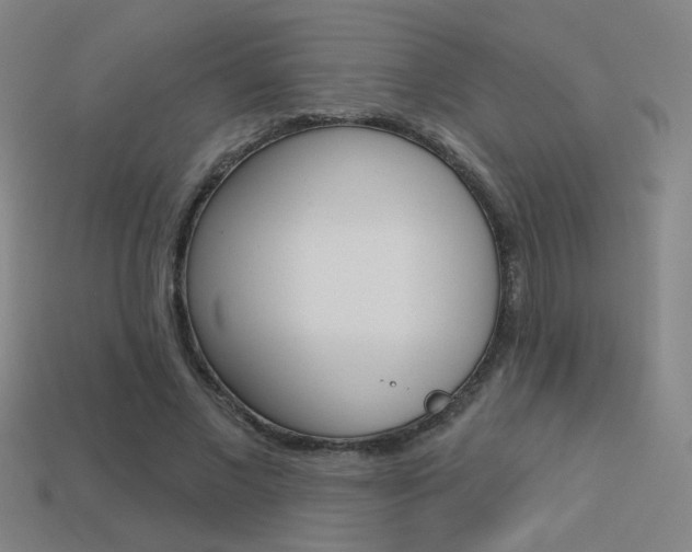 X0000113550685200909181000