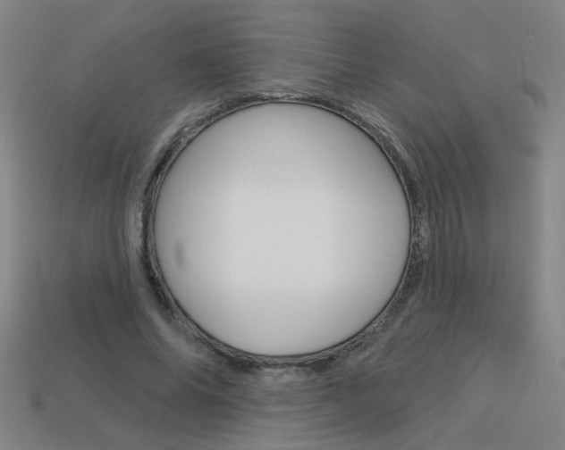 X0000113550686200909181000