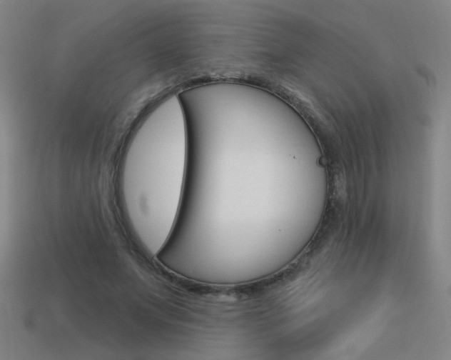 X0000113550687200909181000