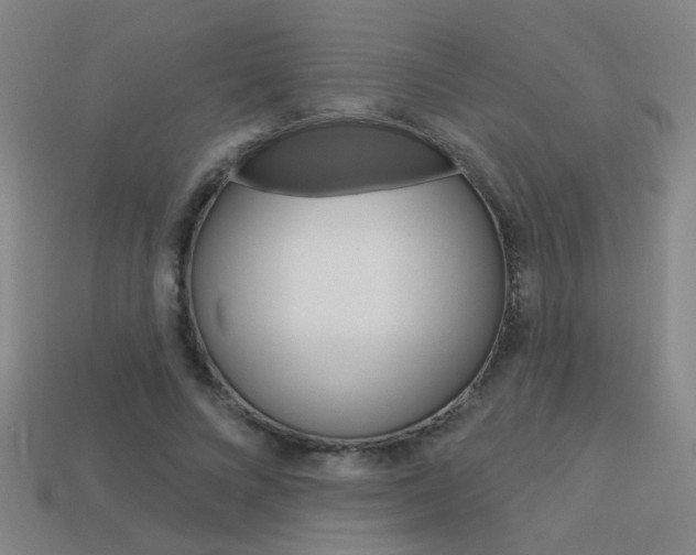 X0000113550688200909181000