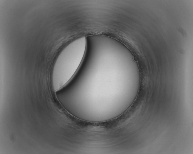 X0000113550689200909181000